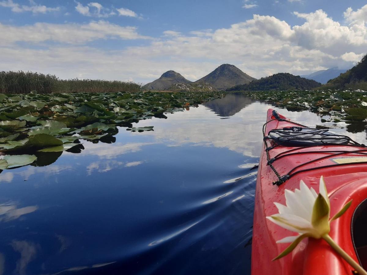 Sunny Balconies Apartments Skadar Lake เวียร์ปาซาร์ ภายนอก รูปภาพ